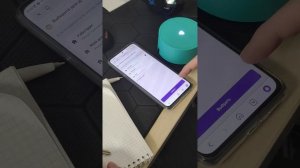 проблема с колонкой яндекс лайт , как решить ?