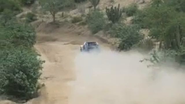 robert ross en la pista смотреть онлайн
