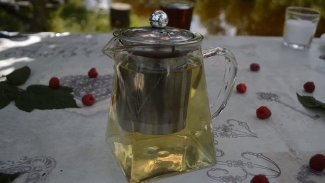 Чай из листьев малины: ферментированный, сушенный, свежесобранный. Какой ВКУС, ЗАПАХ, ЦВЕТ у напитк смотреть онлайн