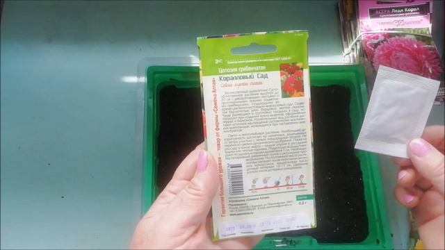 83. КАК ПОСЕЯТЬ. ЦЕЛЛОЗИЯ ГРЕБЕНЧАТАЯ. смотреть онлайн