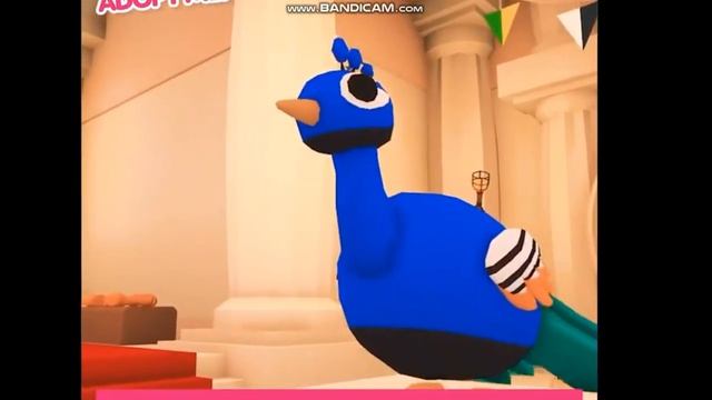 новости адопт ми:океанское яйцо,павлин с домом ,новый режим в пигги смотреть онлайн