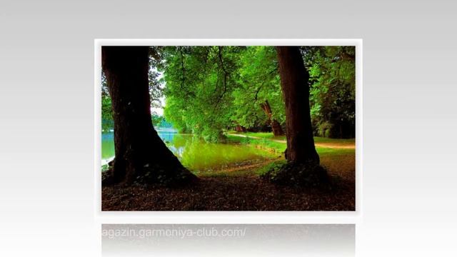 MANTRA OF ABUNDANCE AND PROSPERITY IN LIFE смотреть онлайн