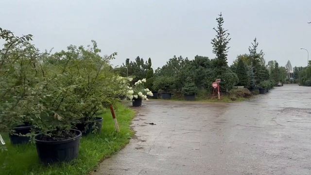 ВЛОГ: один наш выходной в Москве, как мы обычно проводим выходные смотреть онлайн