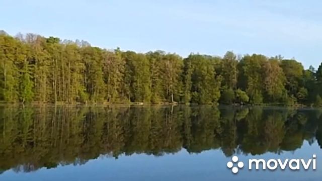 Рассвет над озером в Тульской области. \ Nature. Silence, calme, chant des oiseaux смотреть онлайн