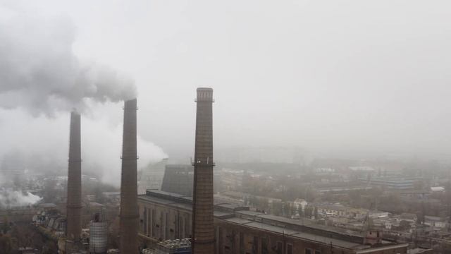 Elon Musk Developing COVID 19 Vaccine?