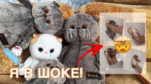 ИДЁМ С БАСИКАМИ В БОЛЬНИЦУ | плановый осмотр