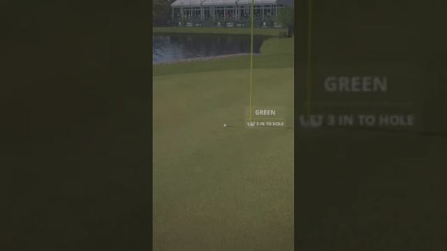 Par 3 Pin Seeker смотреть онлайн