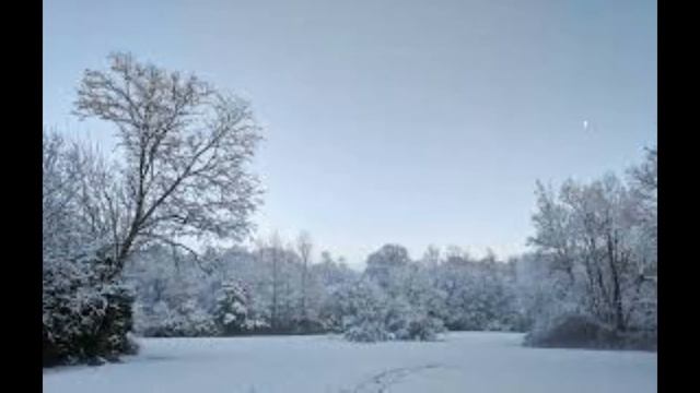 Сказка про апельсин смотреть онлайн