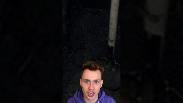 Вот почему никогда нельзя ходить в незнакомые леса??❌ смотреть онлайн