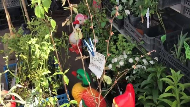 Курам на смех. Центральный рынок смотреть онлайн