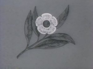 Биология. Учебные фильмы по биологии. Основы биомеханики