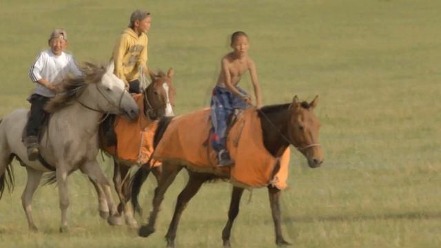 ЭРИЙН ХИЙМОРЬ МУ-ын алдарт уяач Т.Энхтайваны "Гоё" халиун морины түүх смотреть онлайн