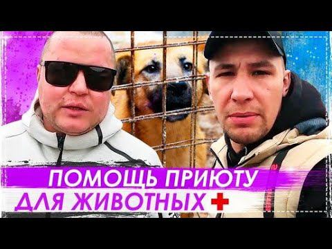 Хочу Пожрать TV