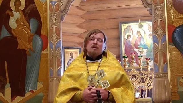 Проповедь о.Илии на День Всех Святых (Начало Петрова Поста) 14.06.2020 смотреть онлайн