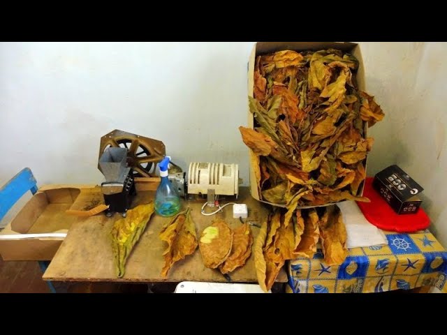 Табачный лист,нарезка - подготовка к ферментации. смотреть онлайн