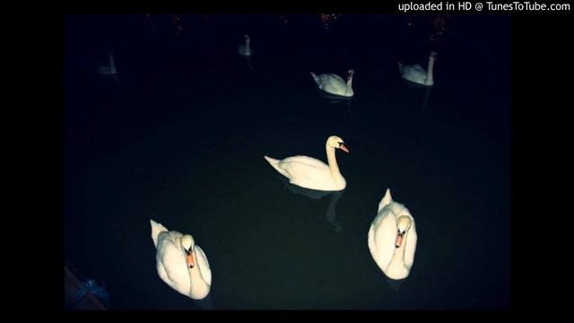 Raudive - Cone (Original Mix) смотреть онлайн