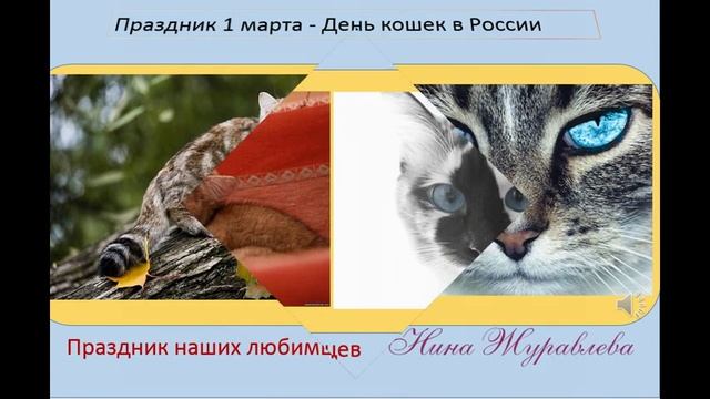 Мое слайд-шоу - 1 марта -Праздник наших пушистых любимцев