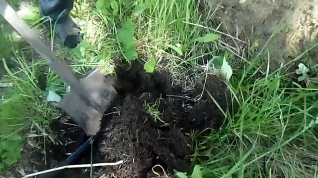 Вот так загрязняют реку матыра в районе таволжанка
