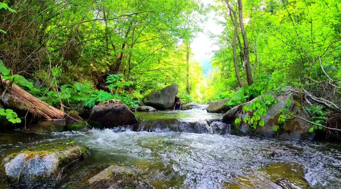 Звуки воды. Журчание реки, щебетание маленьких птиц, ASMR ✦ Успокаивающие Звуки ✦ Relax Sleep смотреть онлайн