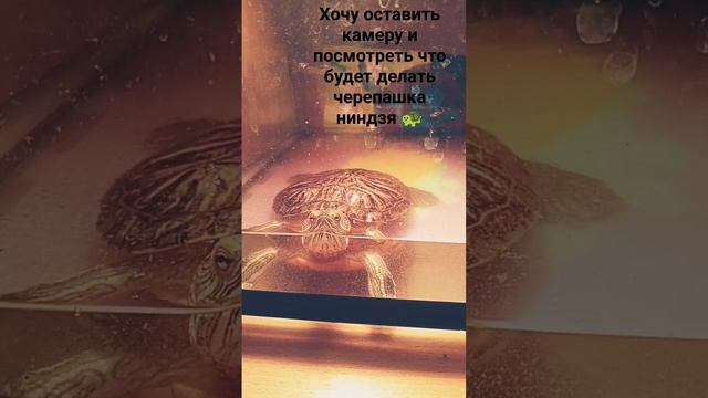 ну я думала она что нибудь будет делать она минуту стояла почти не подвижно смотреть онлайн