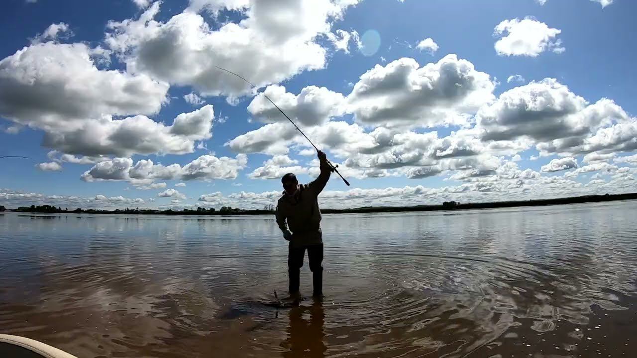 Рыбы просто ЗАВАЛИСЬ! Спиннинг на Амуре смотреть онлайн
