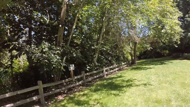 Rhododendron Park in Kenmore смотреть онлайн