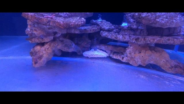 MegaTank фишрум,сборка каркаса из конструкционного алюминия смотреть онлайн