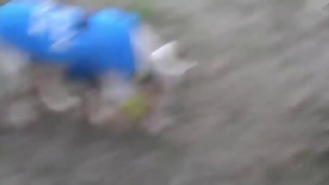 Симферопольская булька смотреть онлайн