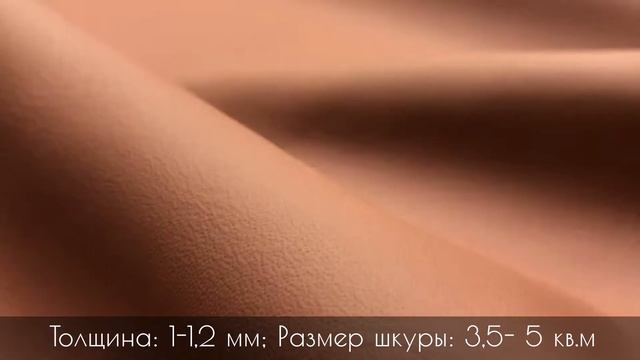 Натуральная кожа Nappa Elegans смотреть онлайн