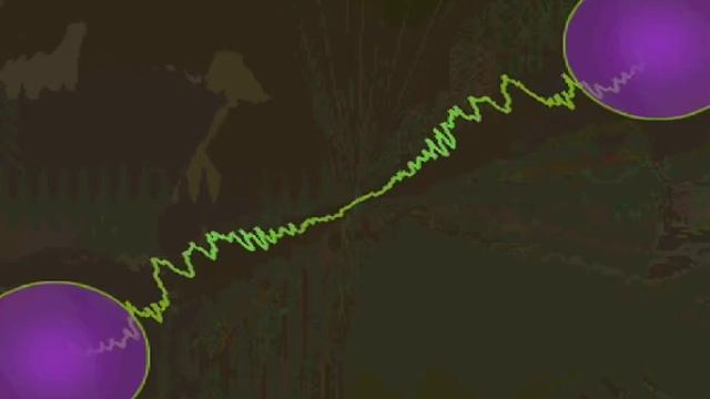 Scooter - Frequent Traveler