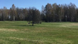 Хатынь: тишина и звон колоколов (HD)