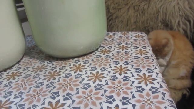 Строительная Рубрика