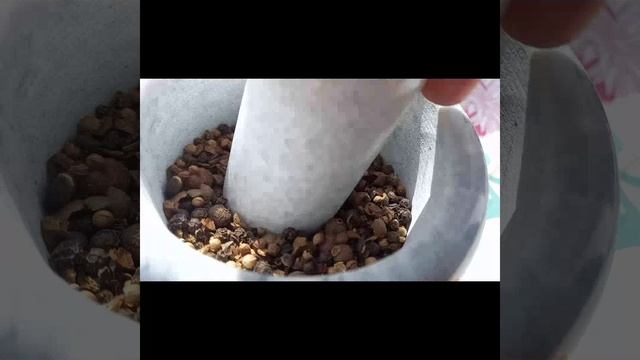 Шашлык из свиной шейки в гранатовом соусе