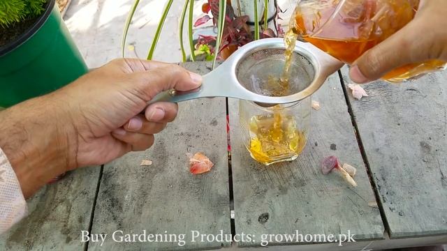 How Do You Make Liquid NPK Fertilizer | What Is The Best Fertilizer NPK | How Do Mix NPK With Water