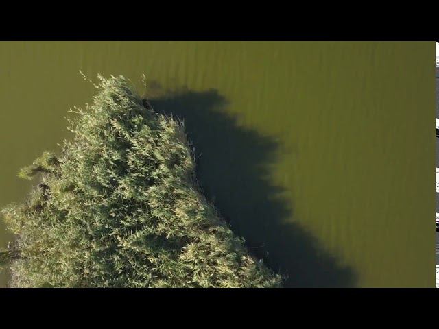 Кирпили смотреть онлайн