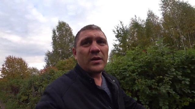 Брошенные дачи. Собираю шиповник. смотреть онлайн