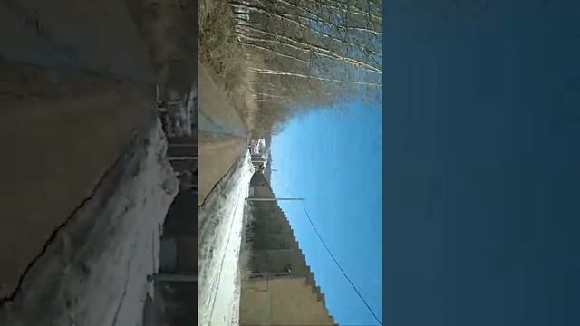 Дорога до дома Утечино смотреть онлайн