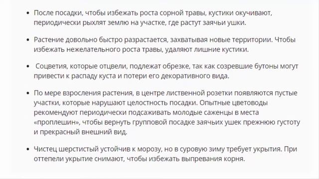 Ремонтные Легенды