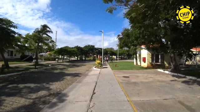 Отель Sol Palmeras 4* / Cuba / Chip Travel смотреть онлайн