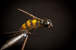 Мушка на хариуса. Оса