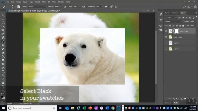 Photoshop: how to create fun Animal Morphs смотреть онлайн