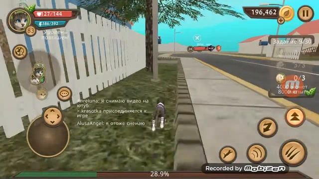 Как играть онлайн в игре Cat Sim?!