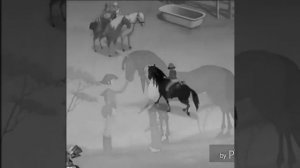 Самый романиичный клип Ранчо лена и анжело всё бы было пооще....)