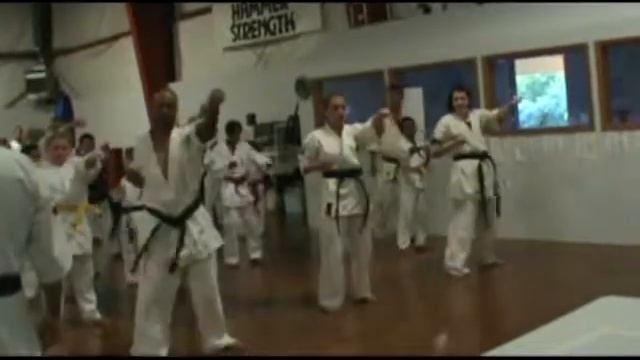 Whoifwhat: Hilton Karate 2013 Hanshi Arneil смотреть онлайн