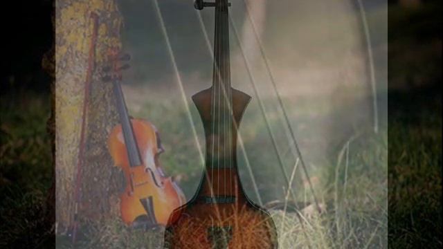 Violin E Hm  In F' Tunning  A E B F# Cantini Sonplus MIDI Violin