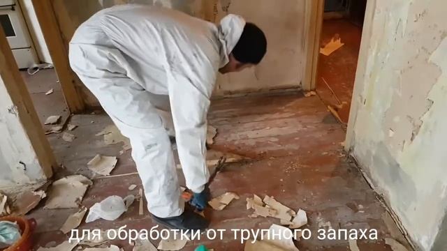 Как победить трупный запах в квартире? смотреть онлайн