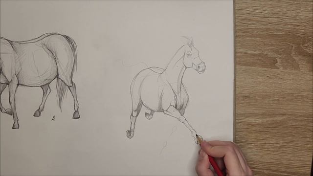 HOW TO DRAW A HORSE!!! КАК НАРИСОВАТЬ ЛОШАДЬ!!! смотреть онлайн