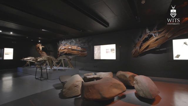 Reopening of the Wits Origins Centre смотреть онлайн