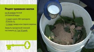 Универсальная подкормка - травяной настой