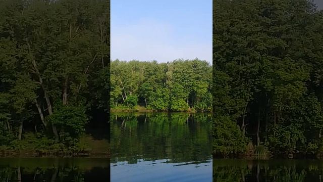 Озеро Подпесочное утром 25 мая 2023г.Урюпинск. смотреть онлайн